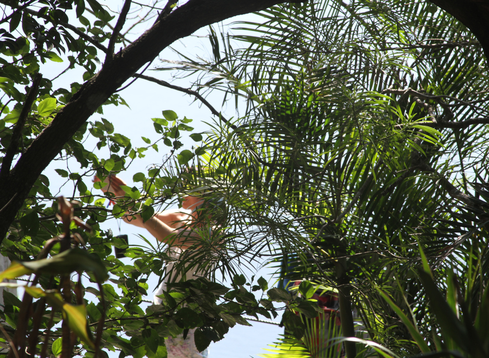 This image reflects the idea behind the 3 types of somatic therapy, where connection with the body, breath, and environment supports healing and balance. Nature scene symbolizing the 3 types of somatic therapy through movement, breath, and body awareness