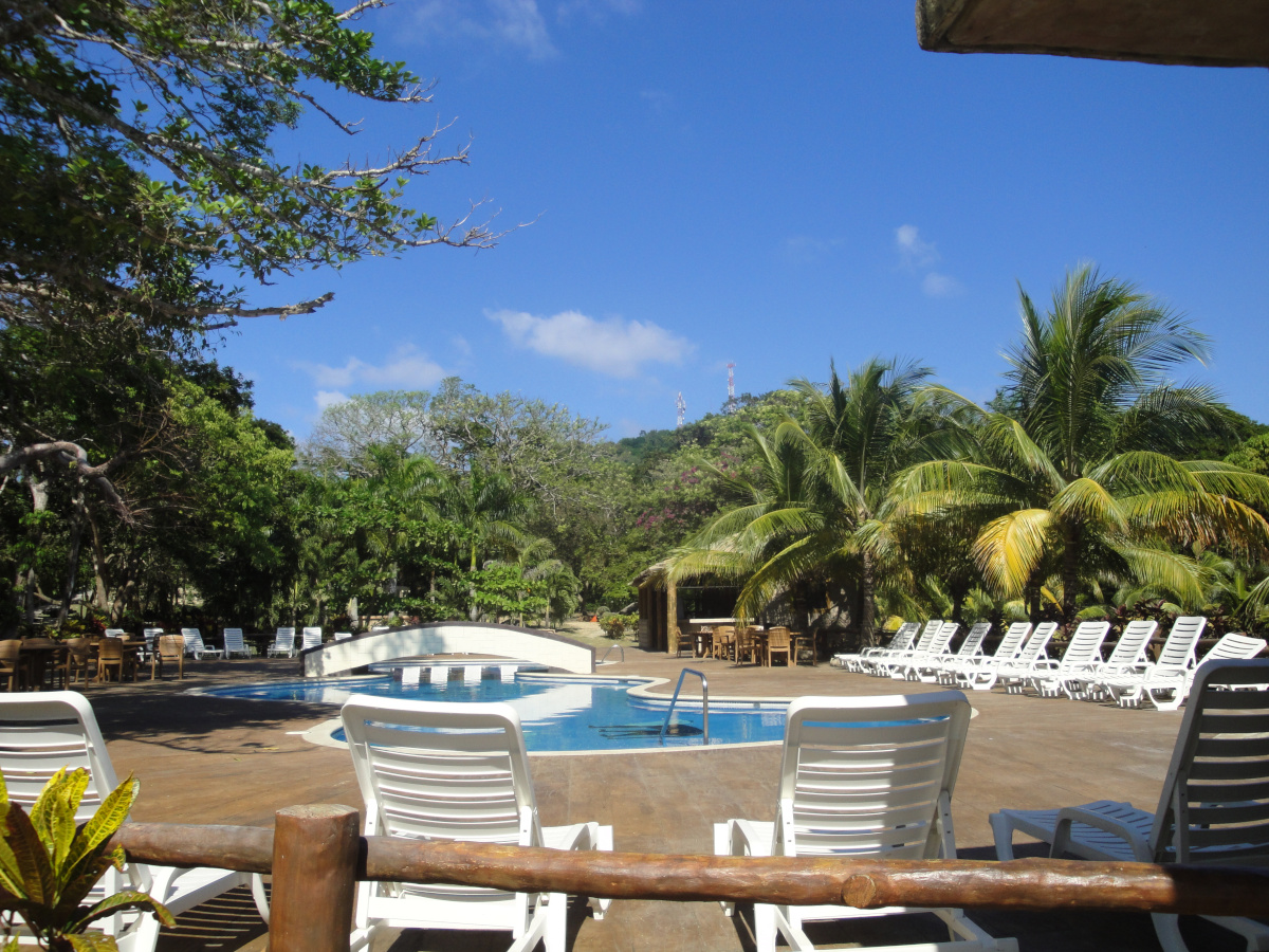 Somatic relaxation by the poolside surrounded by tropical palm trees and clear skies in Roatán, Honduras.