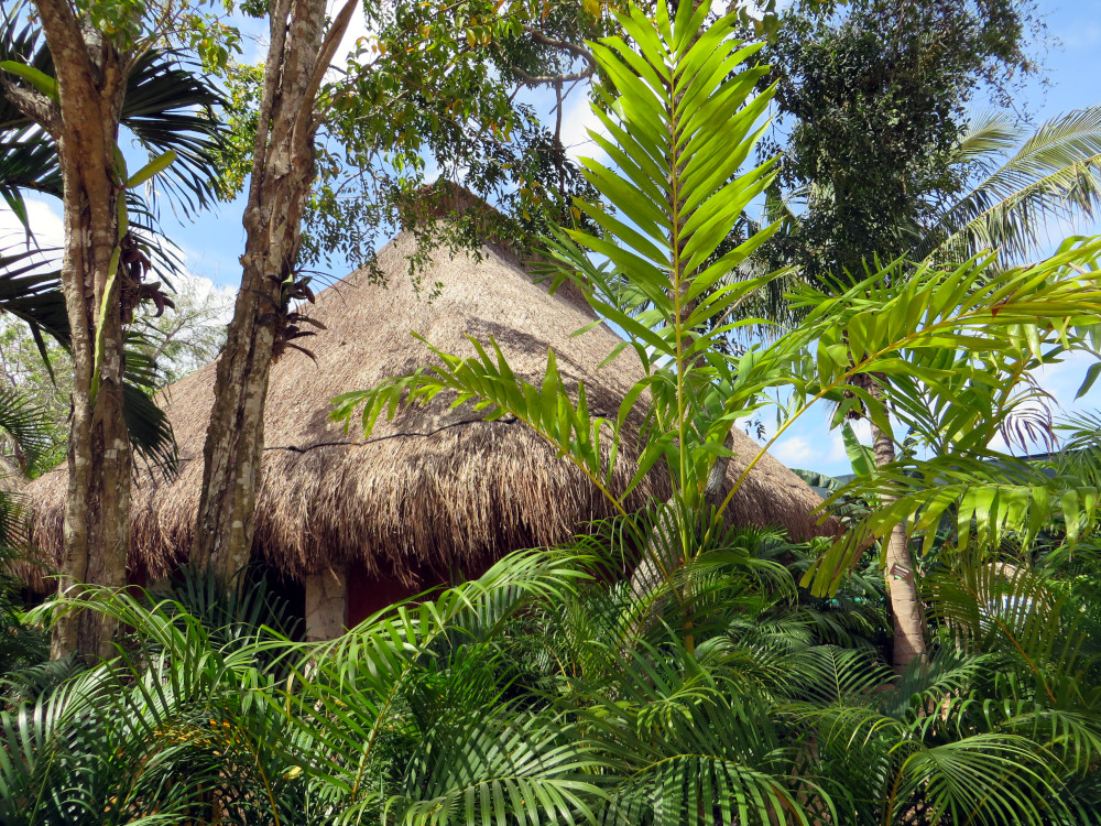 A peaceful hut hidden in tropical greenery reflects the benefits of somatic therapy—grounding, connection with nature, and restoring balance to body and mind. Thatched-roof hut surrounded by lush tropical greenery, symbolizing grounding and the benefits of somatic therapy.