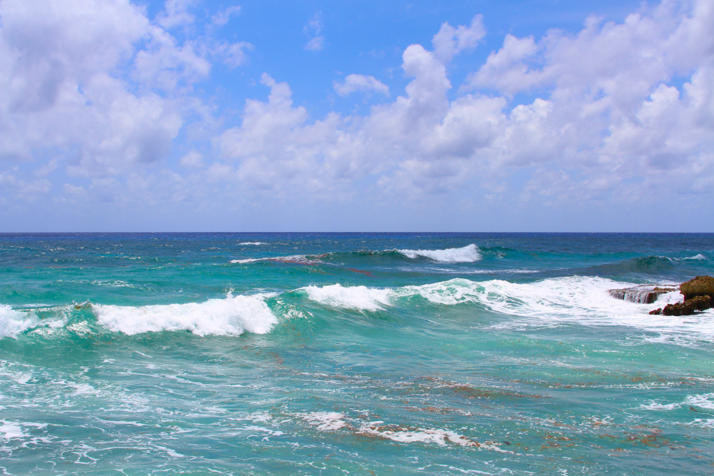 Ocean waves reflect the balance and ease that somatic exercises bring, helping the body release tension and reconnect with presence through mindful movement. Rolling turquoise waves under a bright sky symbolize flow, balance, and renewal—echoing the grounding and awareness cultivated through somatic exercises.