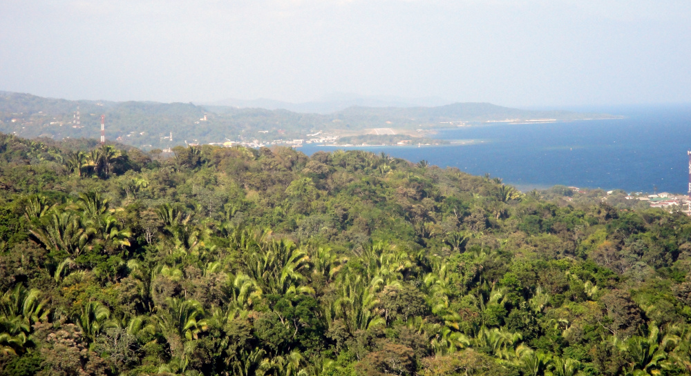 Pathways of Somatic Healing: Restoring Balance Through Body Awareness Somatic Healing