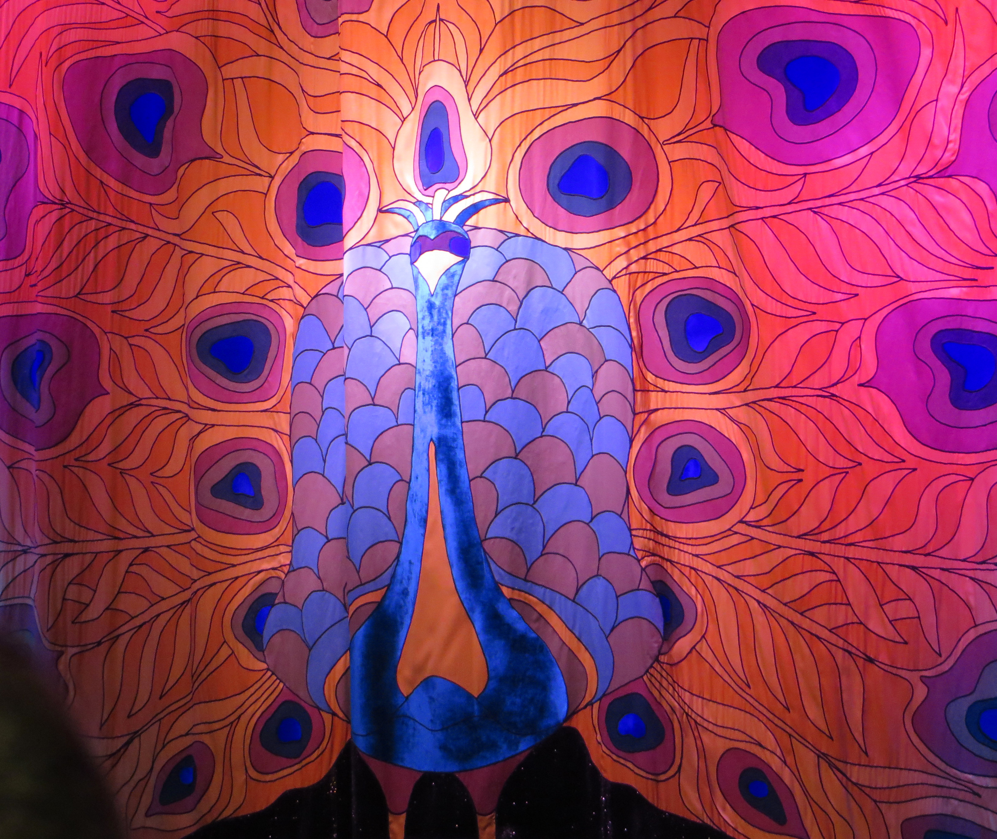 Somatic practices help you reconnect with your body through awareness and presence, much like pausing to notice colors, patterns, and sensations that bring balance. Somatic practices illustrated through a colorful peacock design, symbolizing awareness, presence, and the vibrant connection between body, mind, and inner balance.