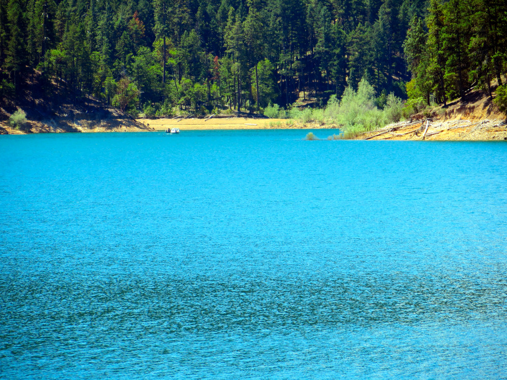 A bright blue lake with forested hills, symbolizing Somatic vs Autonomic Nervous System—voluntary control and automatic regulation working together in harmony. Somatic vs Autonomic Nervous System illustration using a calm blue lake and surrounding forest to symbolize balance between voluntary and involuntary body control.