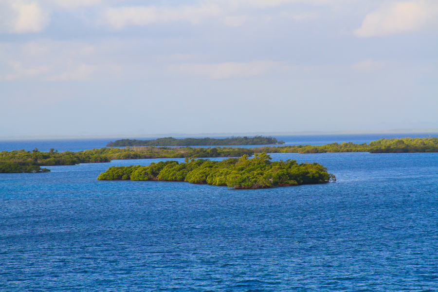 Peaceful view of small green islands surrounded by calm blue water, symbolizing balance and awareness in somatic yoga practices for relaxation and healing.