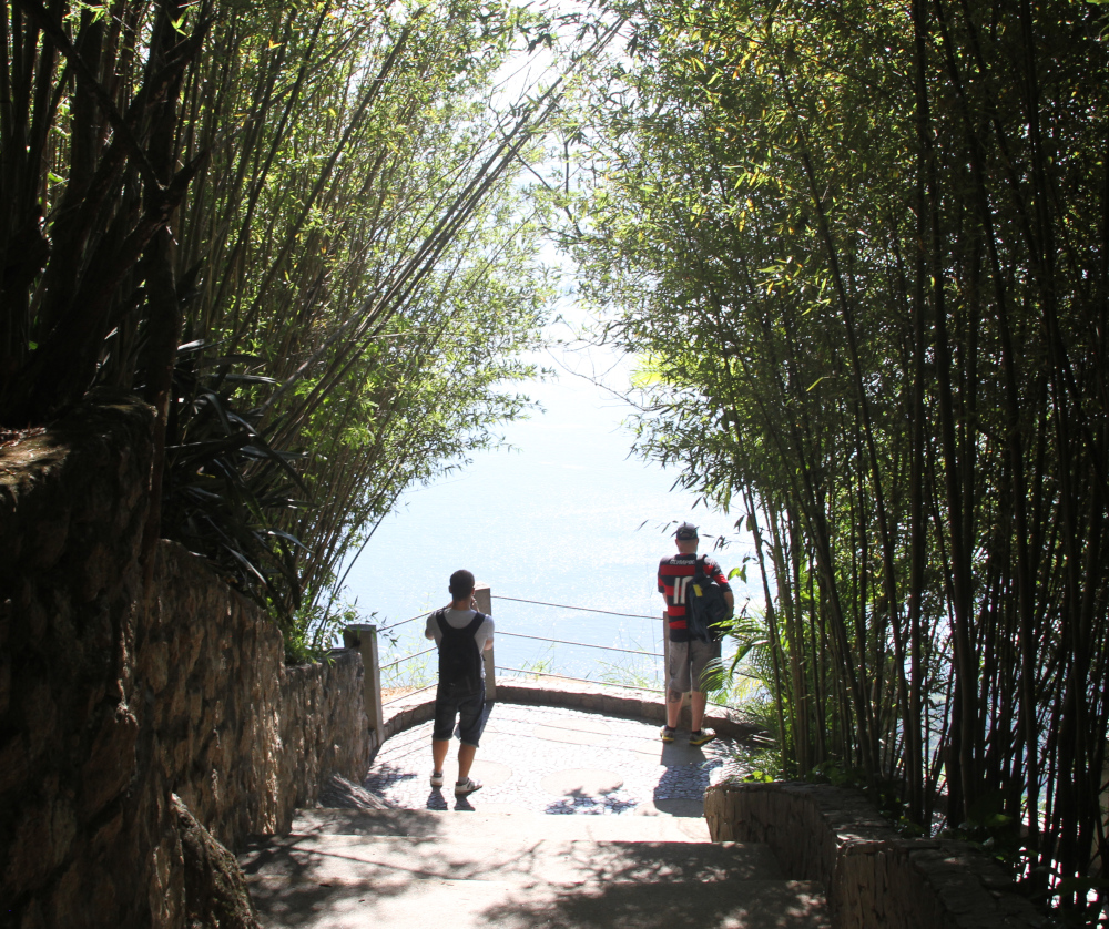This image represents the Three Types of Somatic Therapy, showing how each approach offers a unique path toward grounding, awareness, and inner balance. Two people walking toward the lake through bamboo trees, symbolizing the Three Types of Somatic Therapy and pathways to body-based healing