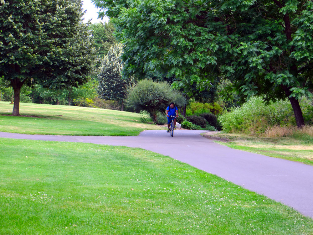 A cyclist on a quiet park path surrounded by greenery, symbolizing awareness, body movement, and reflection—supporting the theme of what are somatic symptoms. What are Somatic Symptoms. Person riding a bicycle on a tree-lined park path, illustrating balance, movement, and connection to nature.