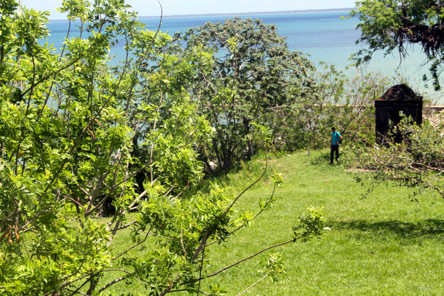 Lush greenery and ocean view with a person near stone ruins, symbolizing connection, grounding, and reflection on what is somatic movement in everyday life. Person standing near old stone ruins by the ocean, surrounded by green trees and open space, reflecting on what is somatic movement through nature, presence, and awareness.